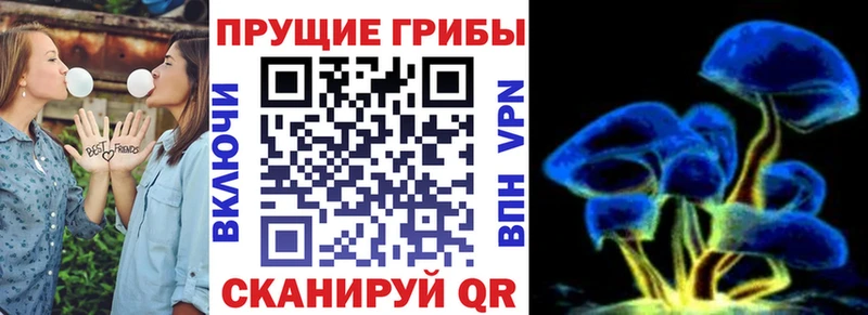 Купить где  Озёры  Псилоцибиновые грибы мухоморы 